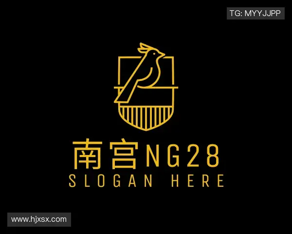 了解南宫28