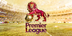 英超联赛Premier League合作伙伴Logo - 狮子标志与足球